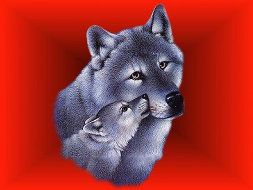 a mothers love, baby, and, mother wolf HD wallpaper