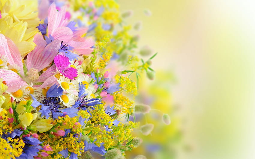 Artistic - Flower - Pastel . Beautiful flowers , Beautiful flowers ...