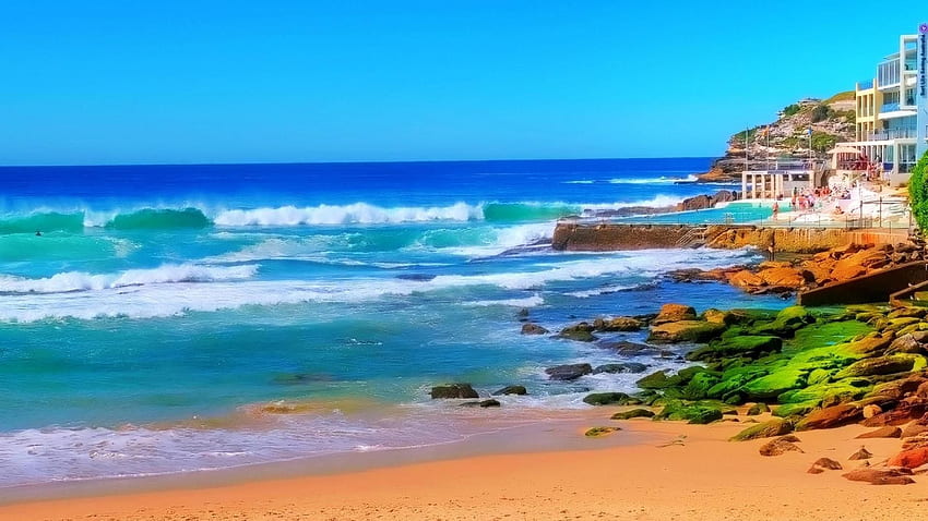 Playa Bondi . azul de Bondi, playa de Bondi y salvavidas de Bondi, playas de Australia fondo de pantalla