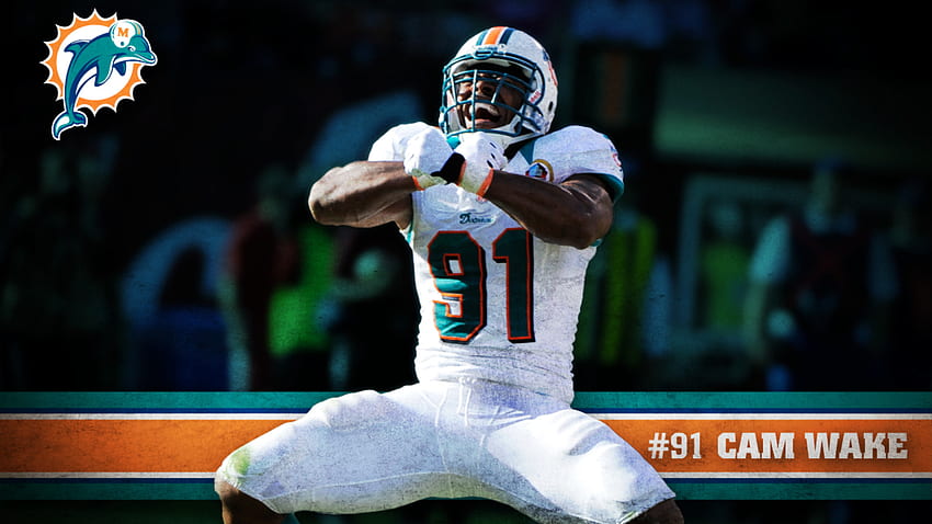 Miami Dolphins . HD wallpaper