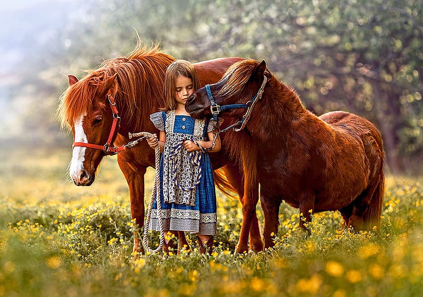 彼女の親友、馬、木、牧草地、花、女の子、春 高画質の壁紙