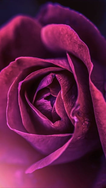 Flowers Live Wallpaper with Lock Screen APK for Android Download