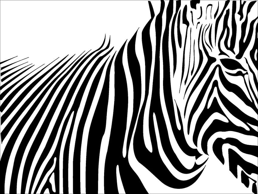 Hewan, Zebra, Kuda, Hitam, Putih, Garis, Kepala, Mata, Seni, Abstrak, Garis Hitam Putih Wallpaper HD