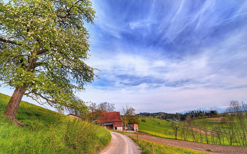 wonderful rural scene r, rural, clouds, fields, farm, hillside, road, r, tree HD wallpaper