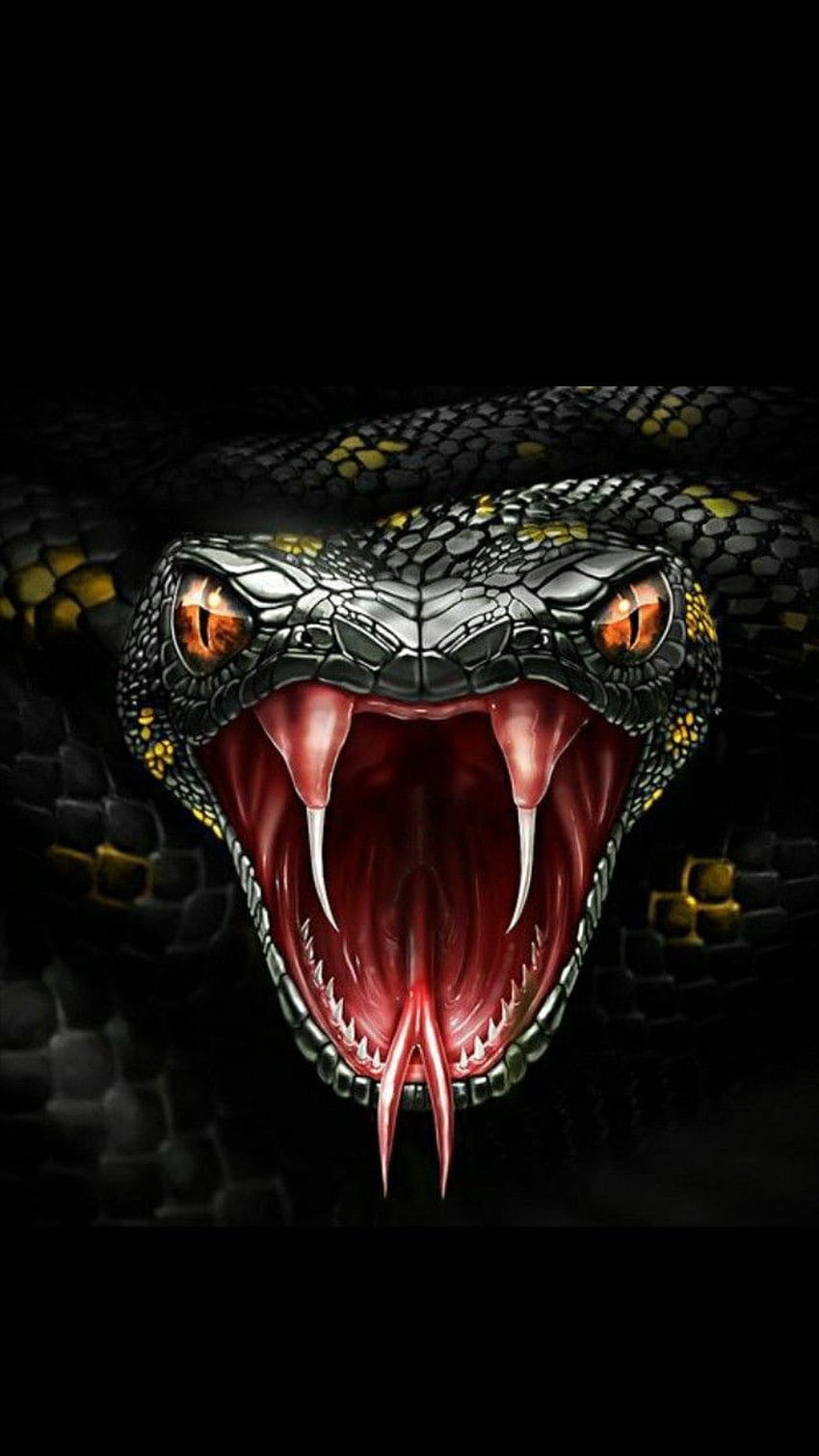 serpiente enojada, ojo, veneno, animal fondo de pantalla del teléfono