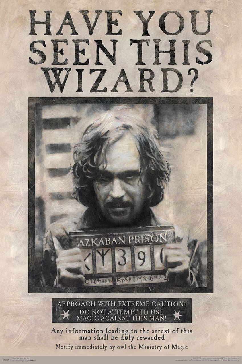 El mundo mágico: Harry Potter - Sirius Black Wanted Póster fondo de pantalla del teléfono