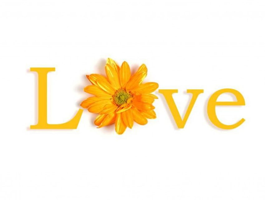 Flowered Love, yellow flower, letters, love HD wallpaper