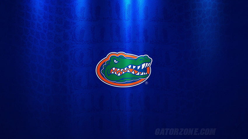 Florida Gators, Florida Gators Logo HD wallpaper