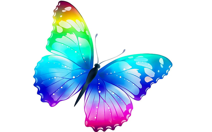 Rainbow Butterfly Images Browse 32562 Stock Photos  Vectors Free  Download with Trial  Shutterstock