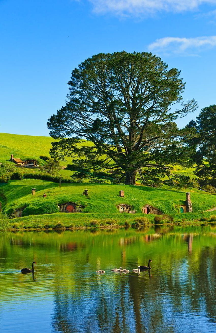 Campo de Waikato, también conocido como Hobbiton, Nueva Zelanda: experiencia, campo de Inglaterra fondo de pantalla del teléfono