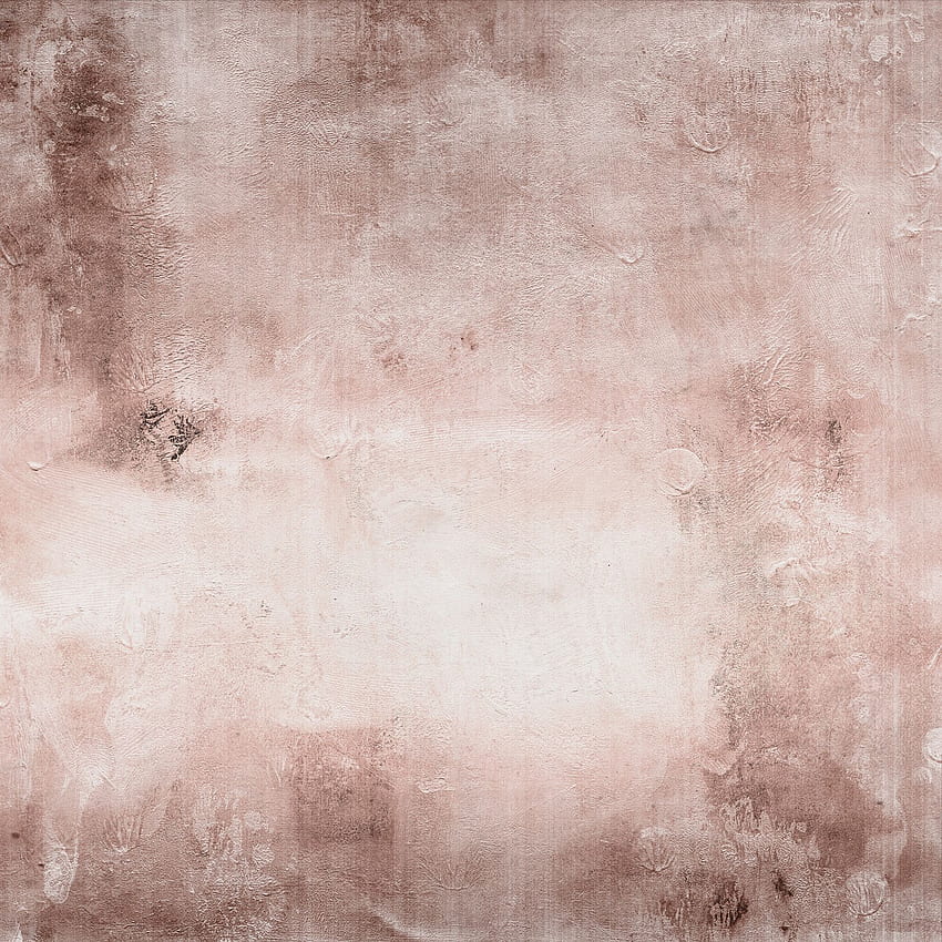 Béton Rose Blush terre cuite. Rosace en béton, Béton , Papiers peints Fond d'écran de téléphone HD