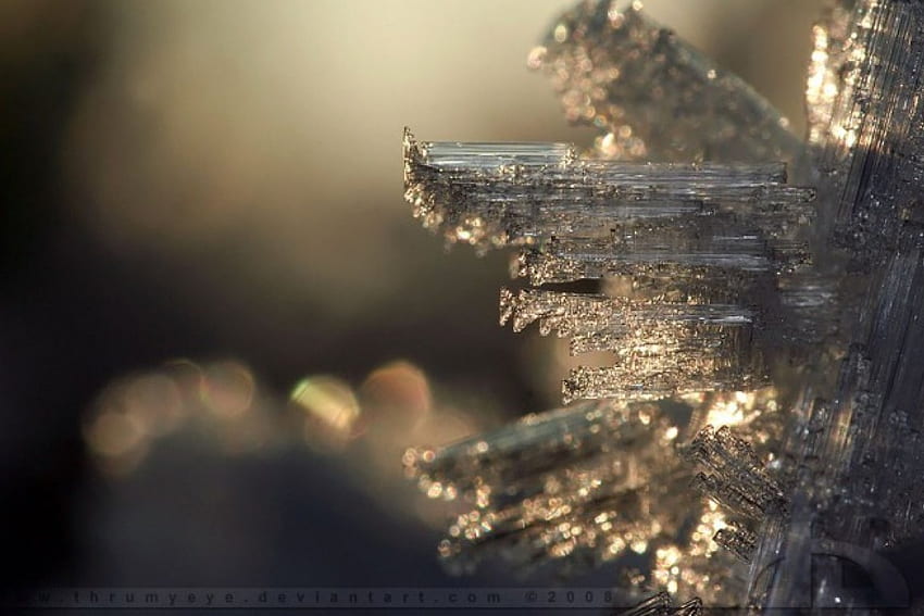 Micro structures, snowflakes, abstract, graphy, snow, icecrystals, , ice, macro HD wallpaper