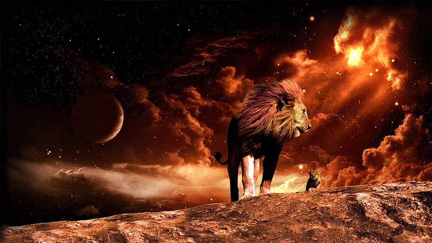 Fire Lion background, Roaring Lion HD wallpaper