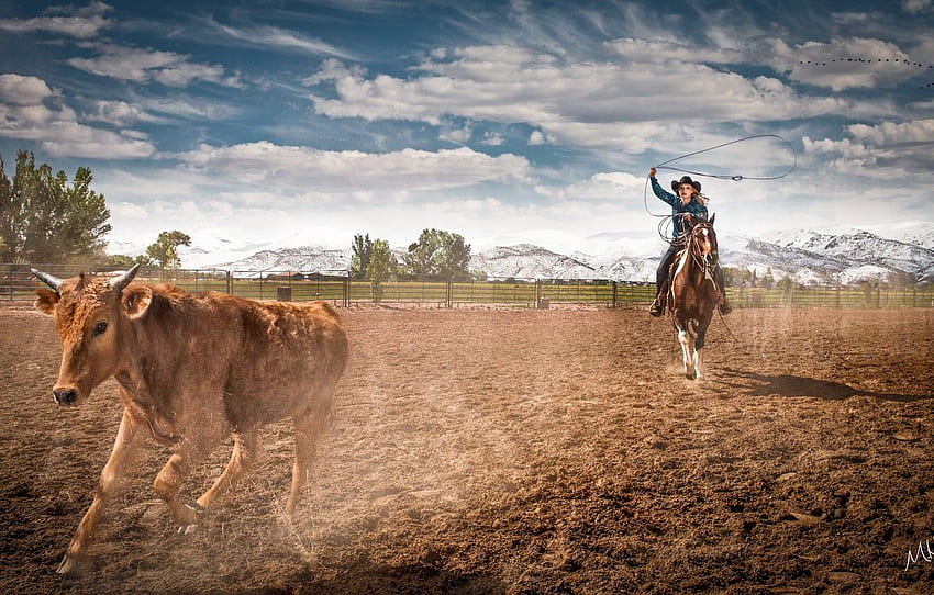 Cavallo, Fattoria, Rodeo, Cowgirl, Ropping - Cowboy Cow Background - -, Horse Ranch Sfondo HD