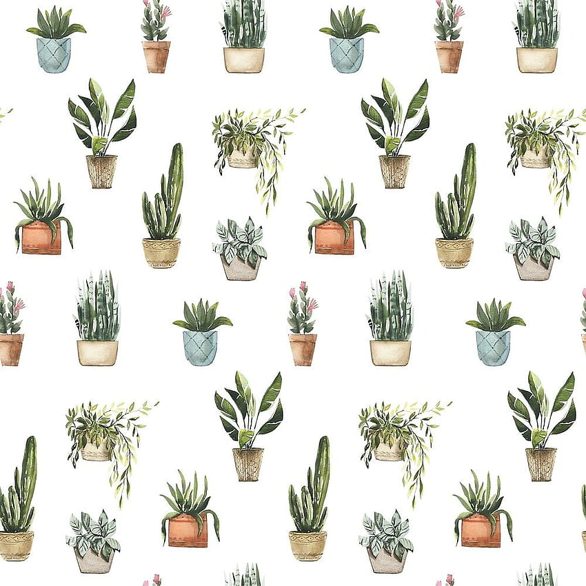 Potted Plants Watercolor Pattern shared HD phone wallpaper