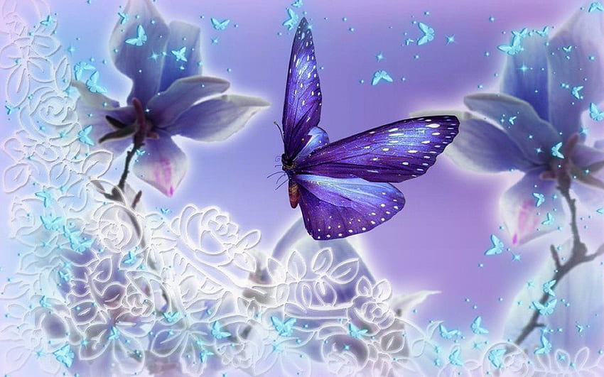 Butterfly, Girly Butterfly HD wallpaper