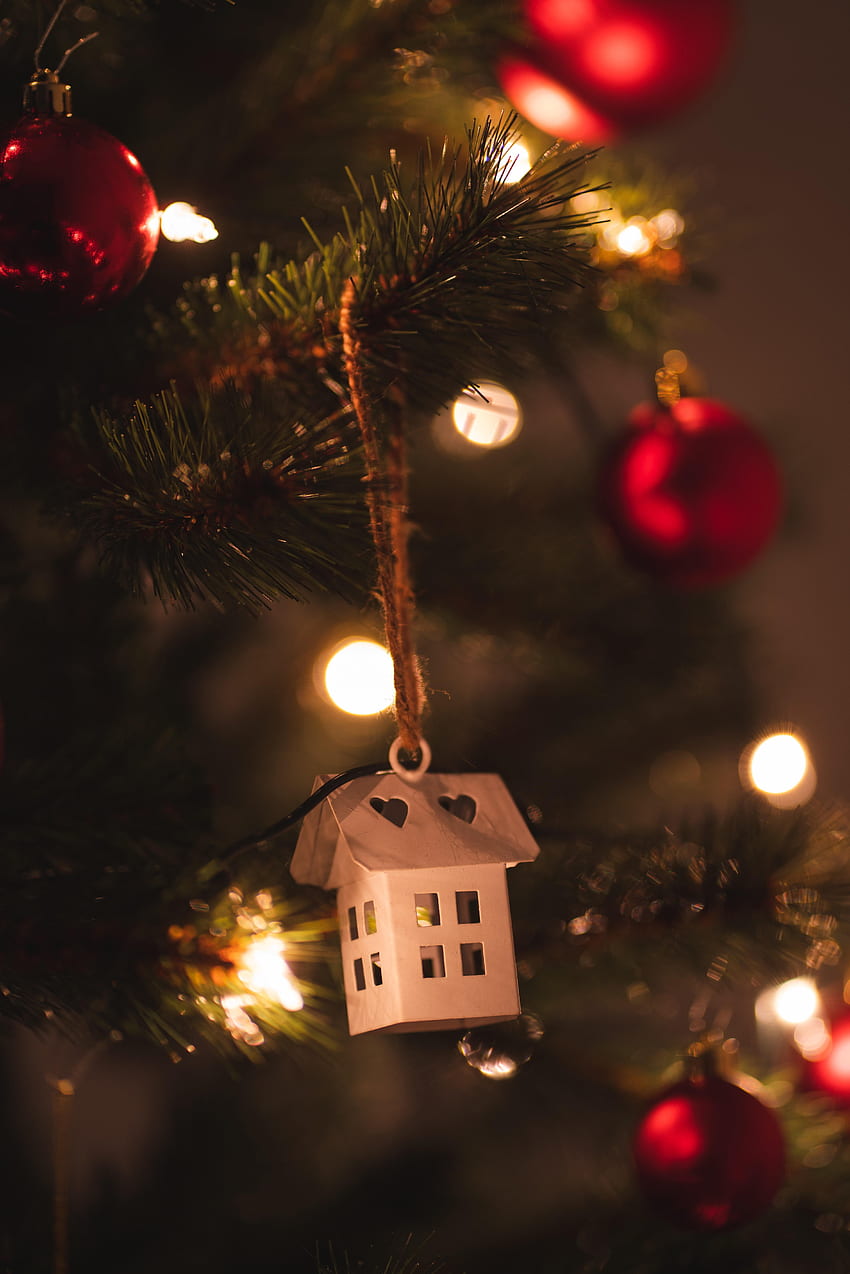 Tatiller, Yeni Yıl, Noel, Küçük Ev, Loca, Yılbaşı Ağacı, Çelenk, Dekorasyon, Çelenkler HD telefon duvar kağıdı