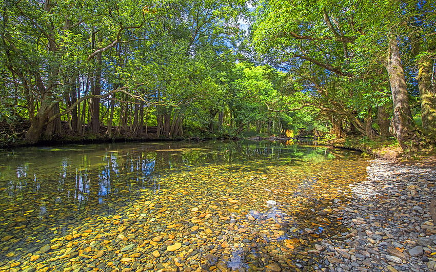 Rio Rosewood Bellingen Água clara Cascalho Árvores com folhas verdes Reflexão Nova Gales do Sul Austrália Paisagem papel de parede HD