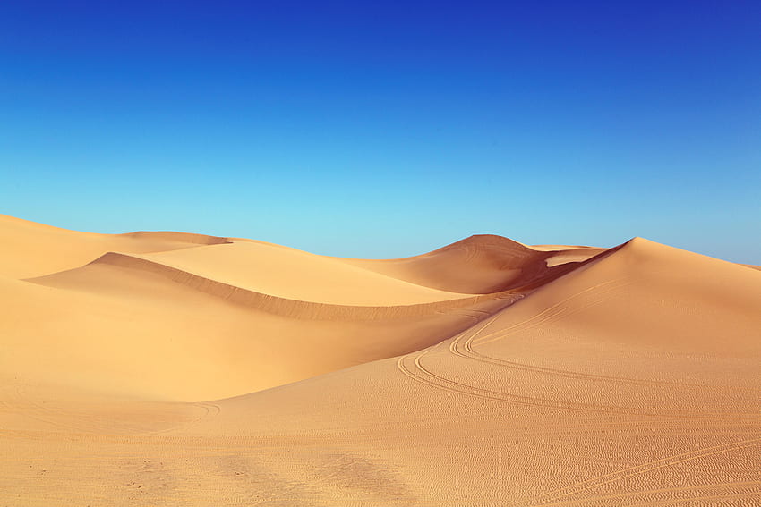 Deserto do Saara, areia, horizonte limpo, céu azul, dunas papel de parede HD