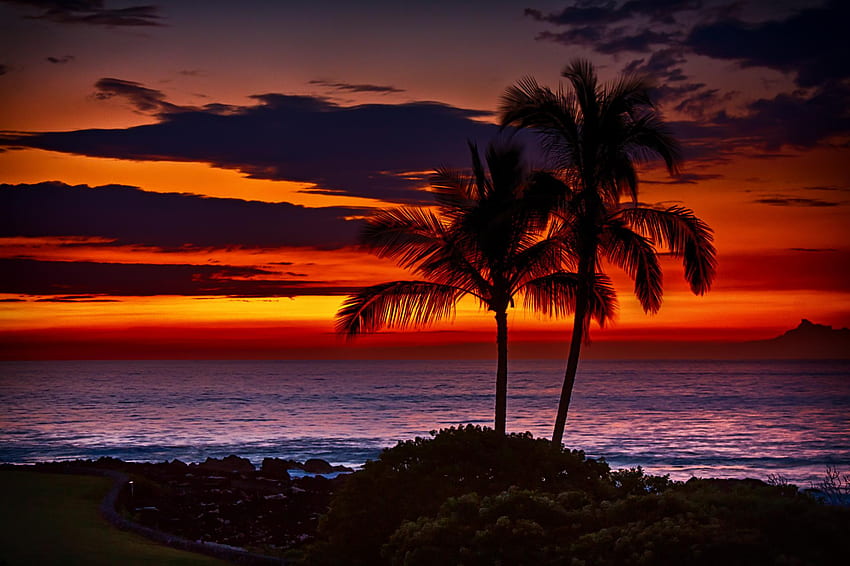 Tropische Sonnenuntergänge, tropischer Insel-Sonnenuntergang HD-Hintergrundbild