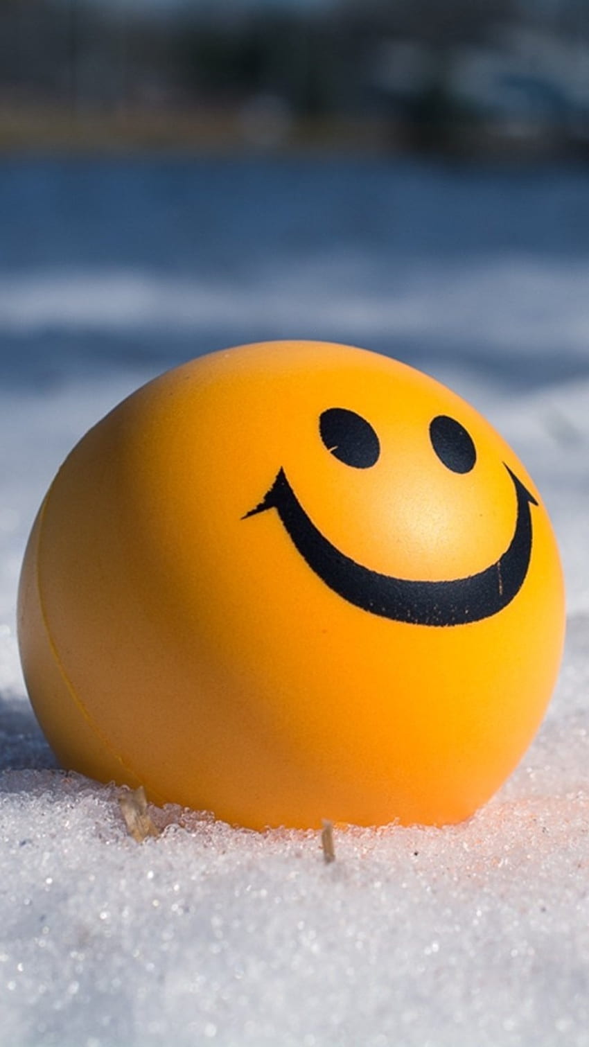 Lächeln Wale, Smiley, gelber Ball HD-Handy-Hintergrundbild
