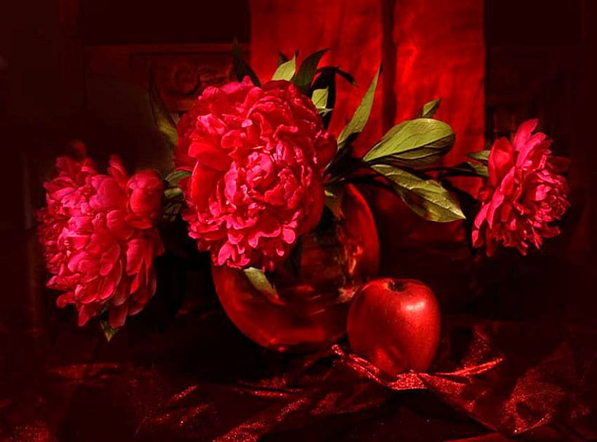 Peony red, red apple, black background, red, flowers, arrangement, peomies HD wallpaper