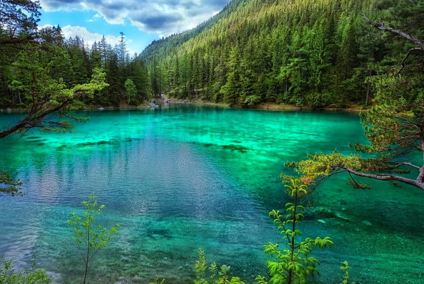 Grüner See, Österreich, Bäume, grünes Wasser, schön, Berge, Wald, See HD-Hintergrundbild