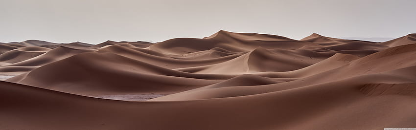 Sand Desert Dunes Ultra Background pour U TV : écran large et ultra large et ordinateur portable : multi-affichage, double et triple moniteur : tablette : smartphone, plage dunes Fond d'écran HD
