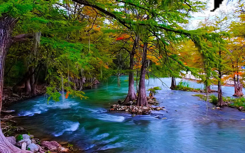 Beautiful Scenery - Guadalupe River, Texas Scenery HD wallpaper