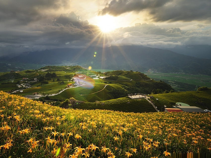 On the top of the world, sunrays, view, sun, lily, moutain, lillies HD wallpaper