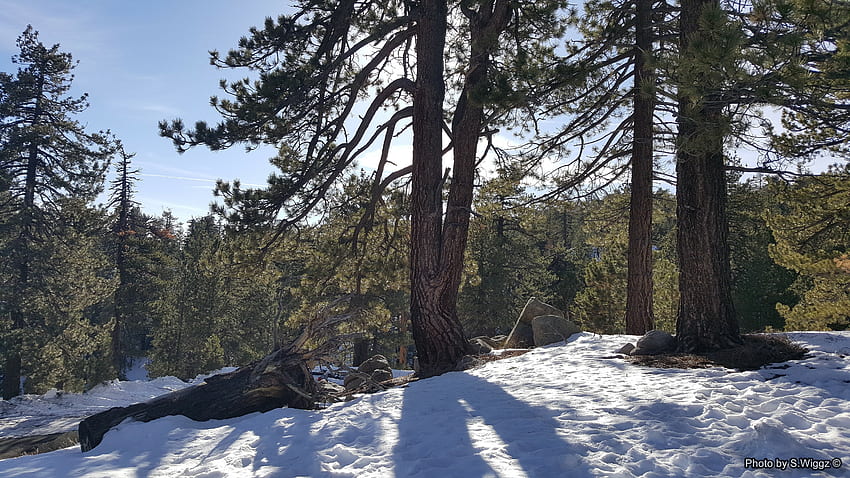 Mt. Pinos, Southern California, Sky, Trees, Snow, Mountains, Shadows, California HD wallpaper
