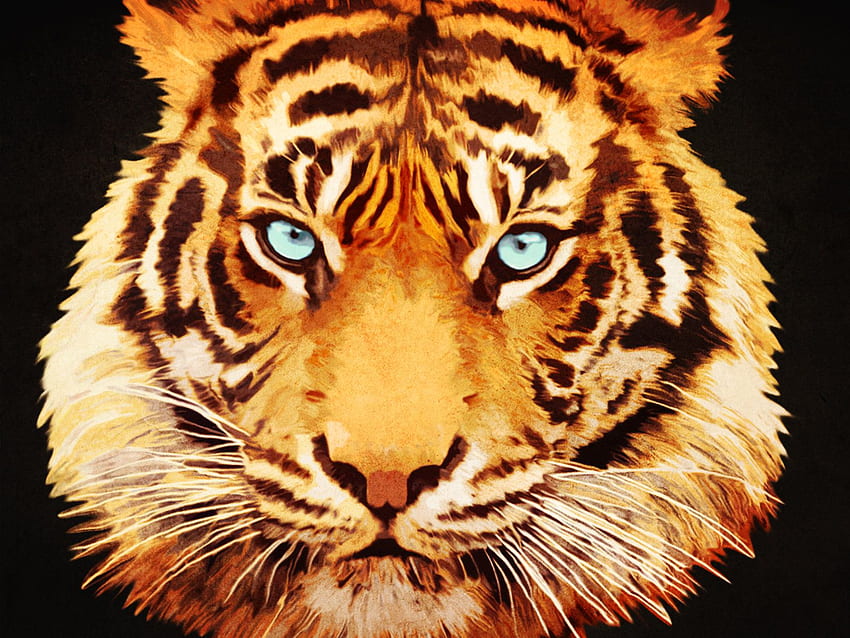 But I Am The Tiger By V Collins, Hipster Tiger HD wallpaper