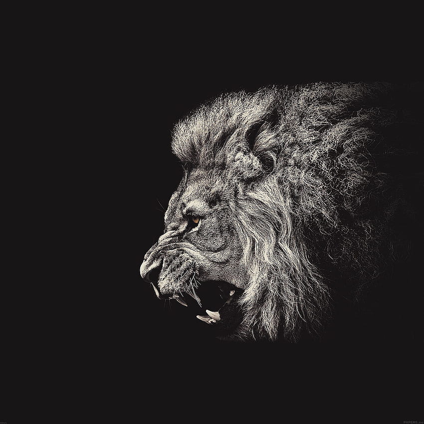 Gridare Lion Illust Art, Detroit Lions Nokia Sfondo del telefono HD