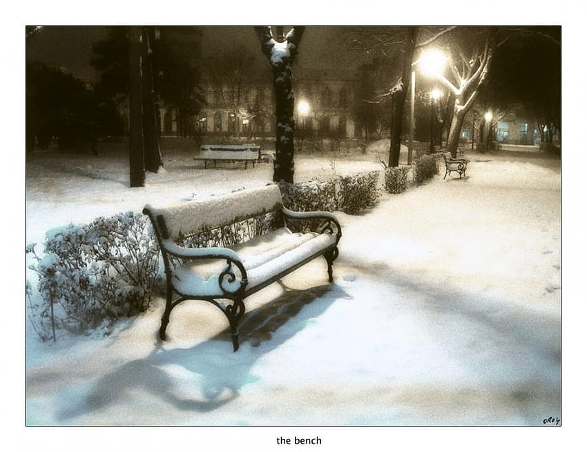 Winter break, winter, bench, lights, snow, trees, park, empty HD wallpaper