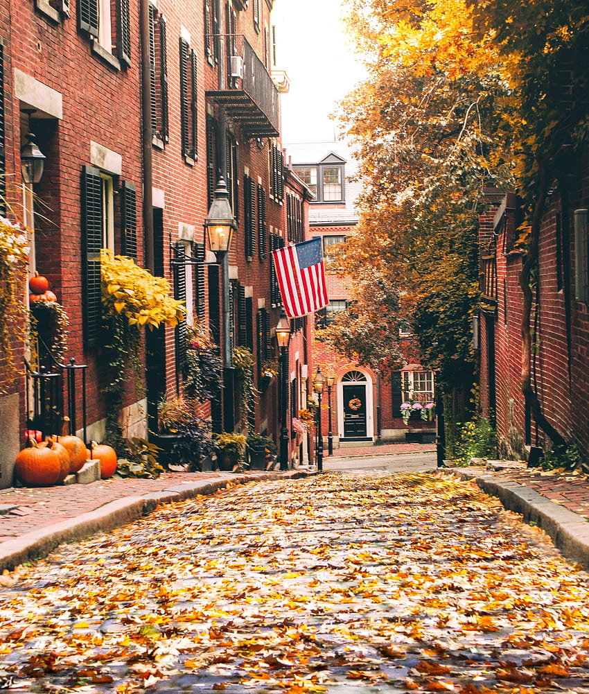 Acorn Street, Boston. Gráfico de boston massachusetts, cosas que hacer en boston, otoño de nueva inglaterra, calles de boston fondo de pantalla del teléfono