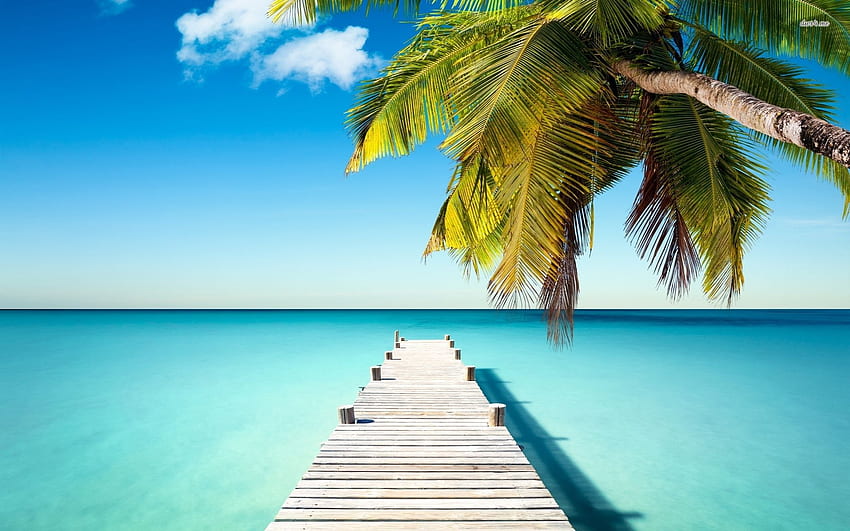 Turks And Caicos iPhone HD wallpaper | Pxfuel