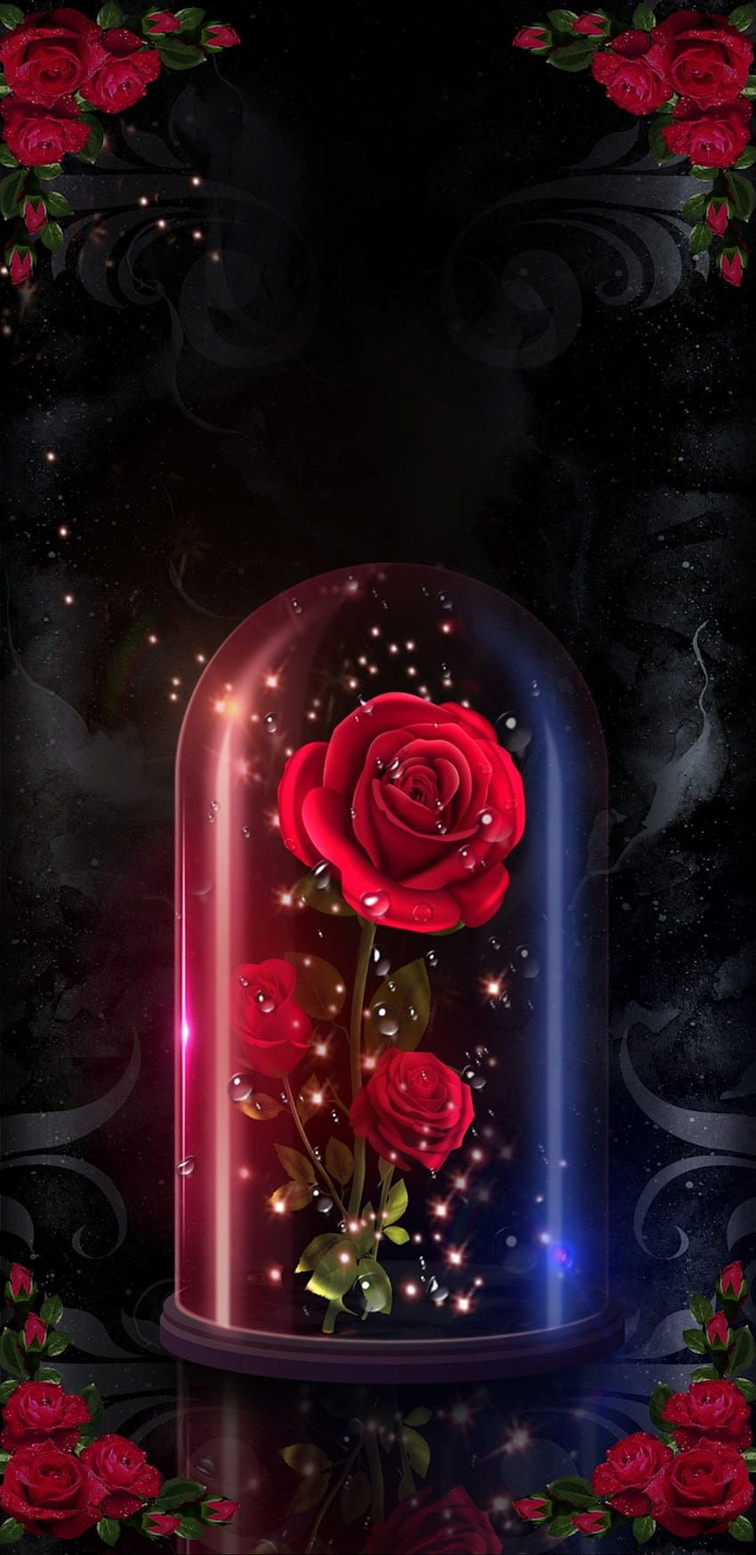 Arunidamayanthig auf Rosen 2. Rosenblüte, rote Rosen, blumig, die Schöne und das Biest Rose HD-Handy-Hintergrundbild