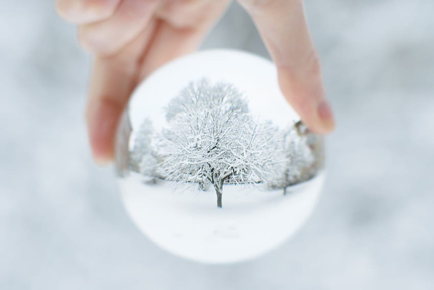 Lensball - Winter bauble Reflection of a snow covered tree in a lensball creating bauble effect. Crystal graphy, Bubbles graphy, Globe graphy HD wallpaper