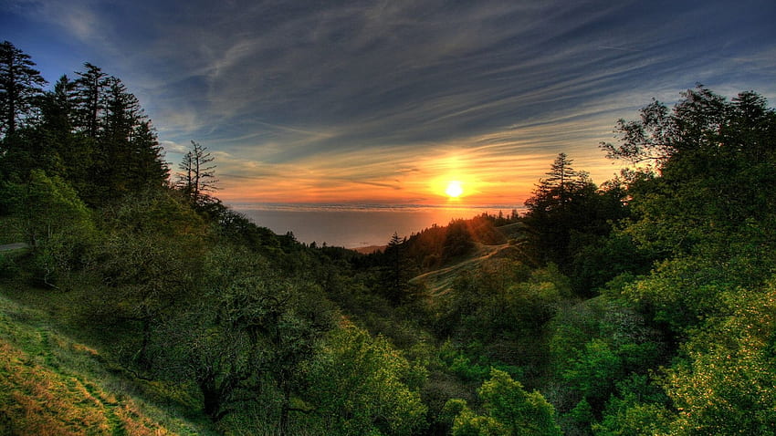 Coastal Sunset, coast, beautiful, green, trees, jungle, sky, sun, forest, sunset HD wallpaper