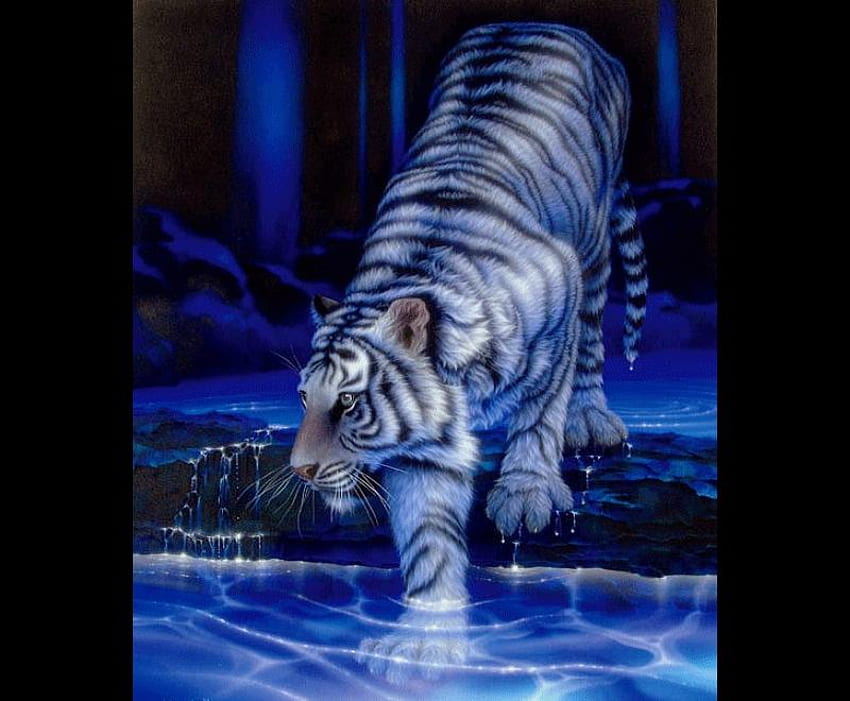 クールな猫、青、白、虎、絵、水 高画質の壁紙
