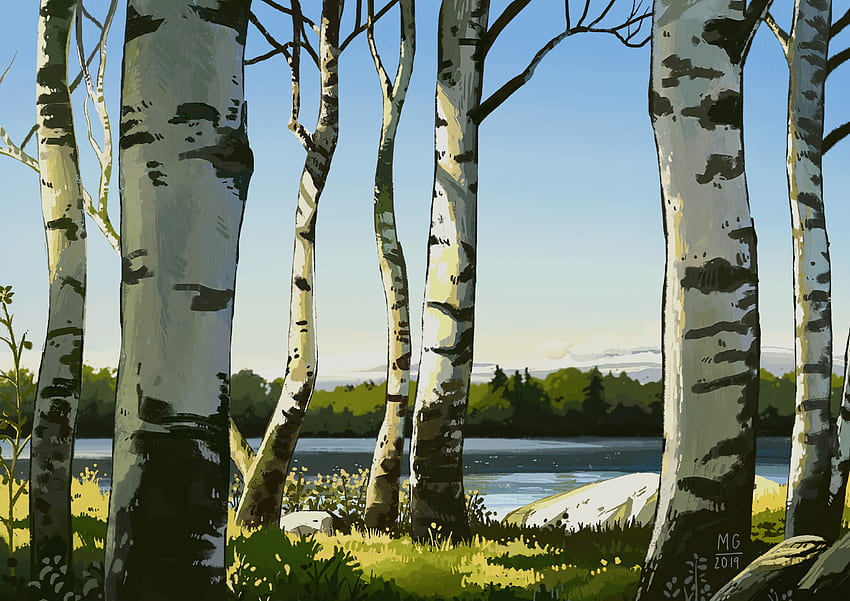 Trees, Art, Birches HD wallpaper