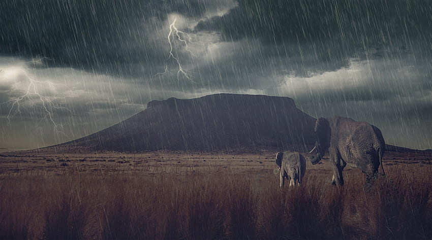 Elefanti di vitello fulmini di montagna opere d'arte stock hop art, pioggia di montagna Sfondo HD