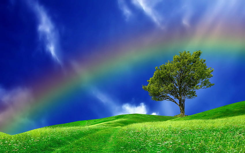 *虹*、青、虹、空、自然、木 高画質の壁紙