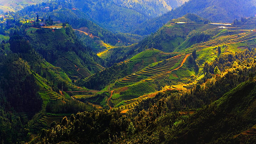 Vietnam Sapa Nature Mountains Fields HD wallpaper
