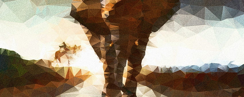 Elephant polygon illustration - Abstract HD wallpaper