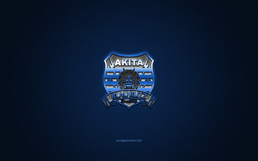 Blaublitz Akita, Japanese football club, white logo, blue carbon fiber background, J2 League, football, Akita, Japan, Blaublitz Akita logo HD wallpaper