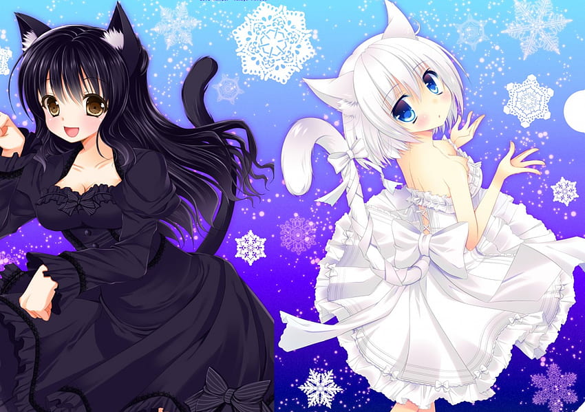 Cat Girls, orginal, snowflake, cute, cat, girls HD wallpaper
