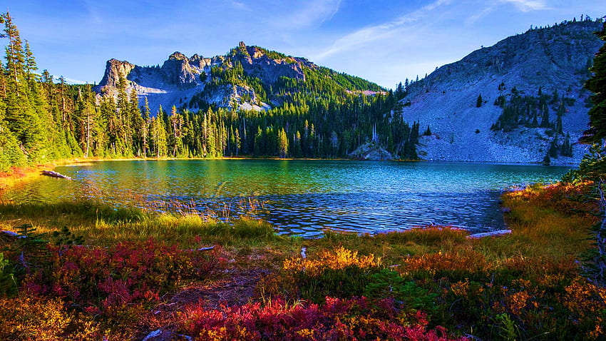 Sky Lakes Wilderness, Oregon, Morgen, Landschaft, Bäume, Himmel, Berge, USA HD-Hintergrundbild