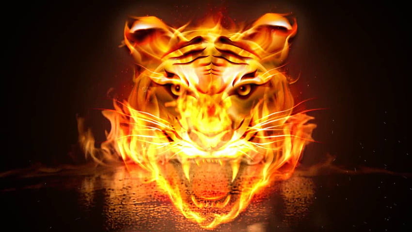 Wütendes Flammen-Tiger-Tastaturthema, Flammender Tiger HD-Hintergrundbild