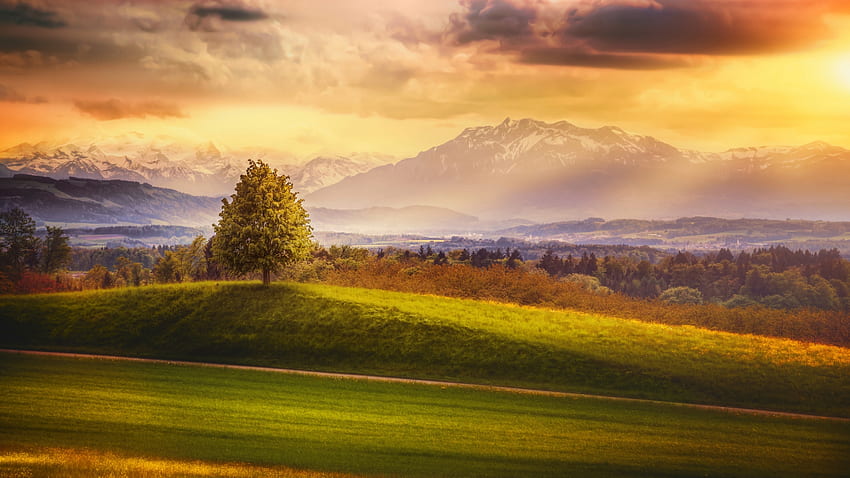 พระอาทิตย์ขึ้นในเทือกเขาแอลป์สวิส ภูเขา สวิตเซอร์แลนด์ เมฆ ภูมิทัศน์ ต้นไม้ ท้องฟ้า วอลล์เปเปอร์ HD